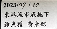 中華釜海膽藏品圖，第9張